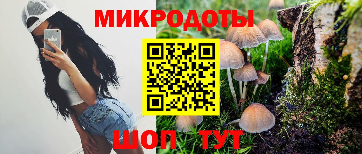 Галлюциногенные грибы MAGIC MUSHROOMS  где можно купить   Волжск 