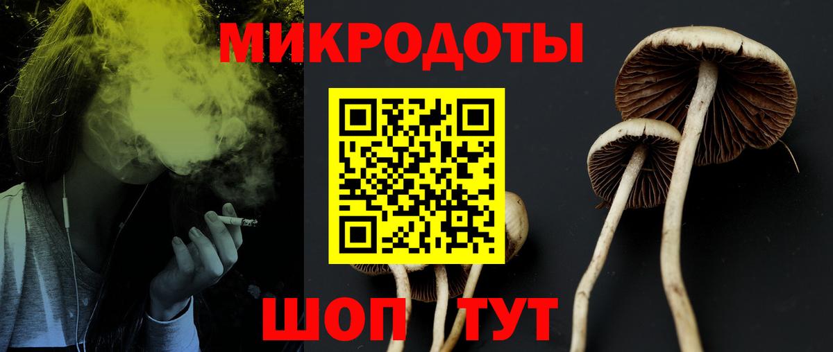 Галлюциногенные грибы мухоморы Волжск